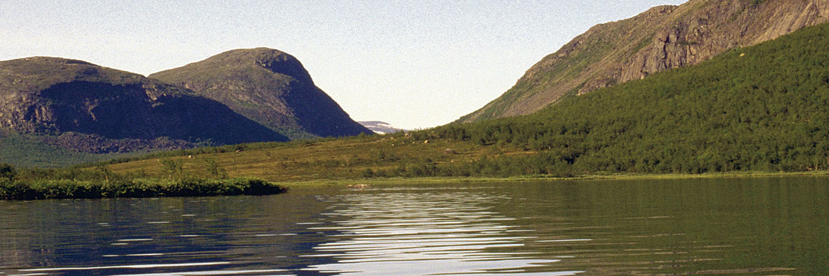 IMG0082_abisko